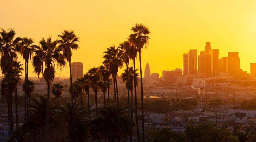 LA Wildfires